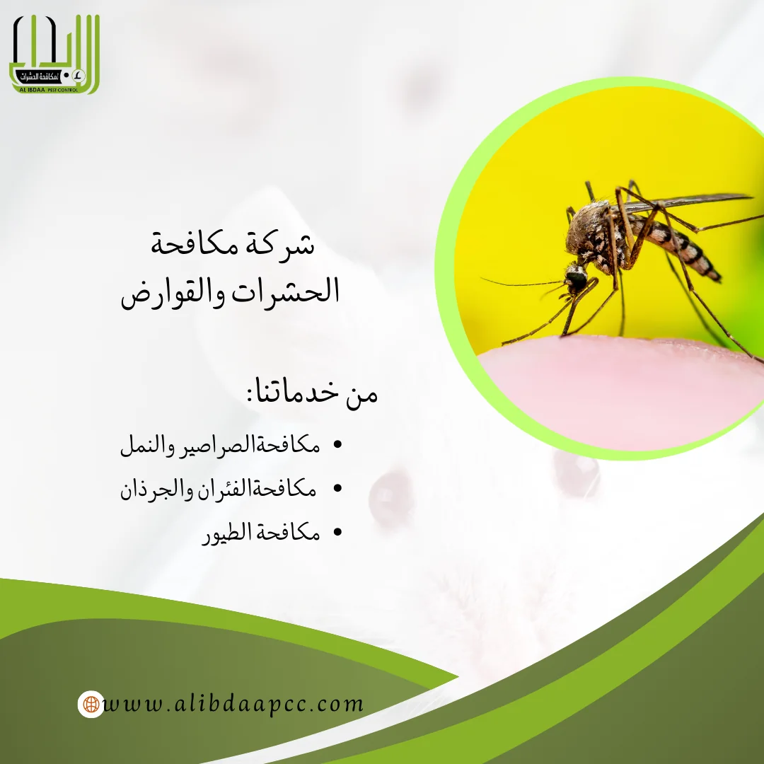 اسباب ظهور البعوض وطرق التخلص منه ودور شركات مكافحة الحشرات في ذلك