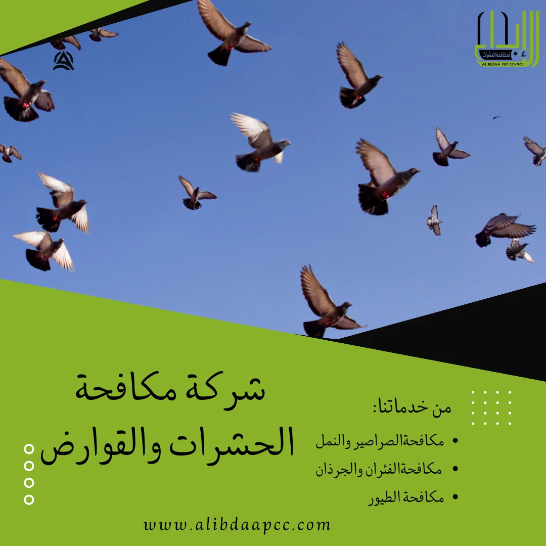 عندما تتحول الطيور إلى مشكلة: استراتيجيات مكافحة الطيور
