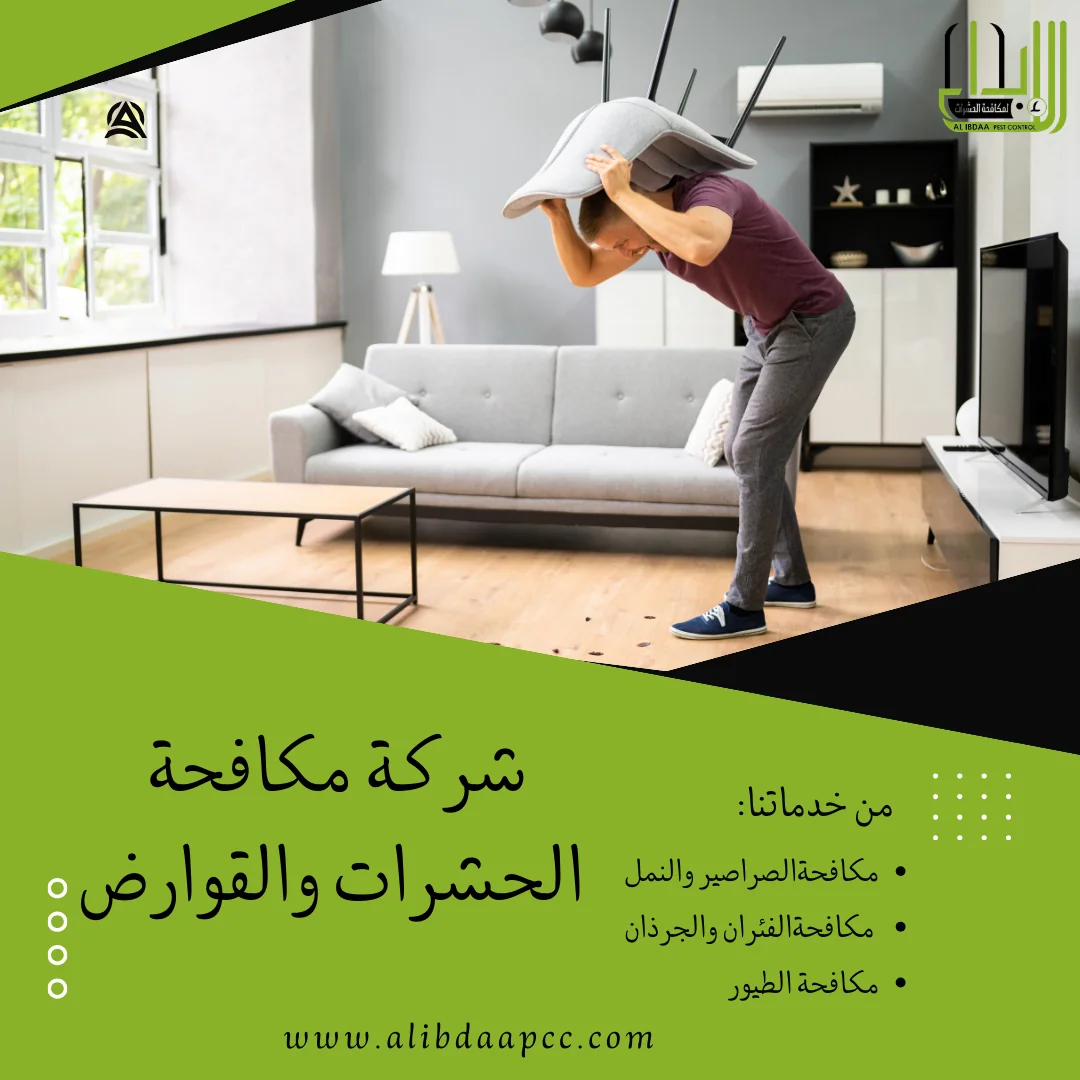 كيفية الوقاية من الحشرات الطائرة في المنازل الفاخرة