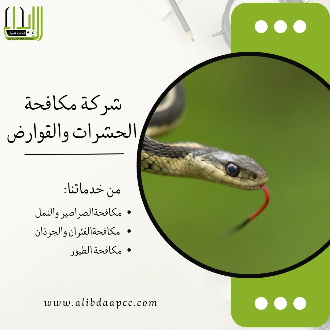 افضل طرق مكافحة الأفاعي في المناطق الصحراوية واساليب شركات مكافحة الحشرات