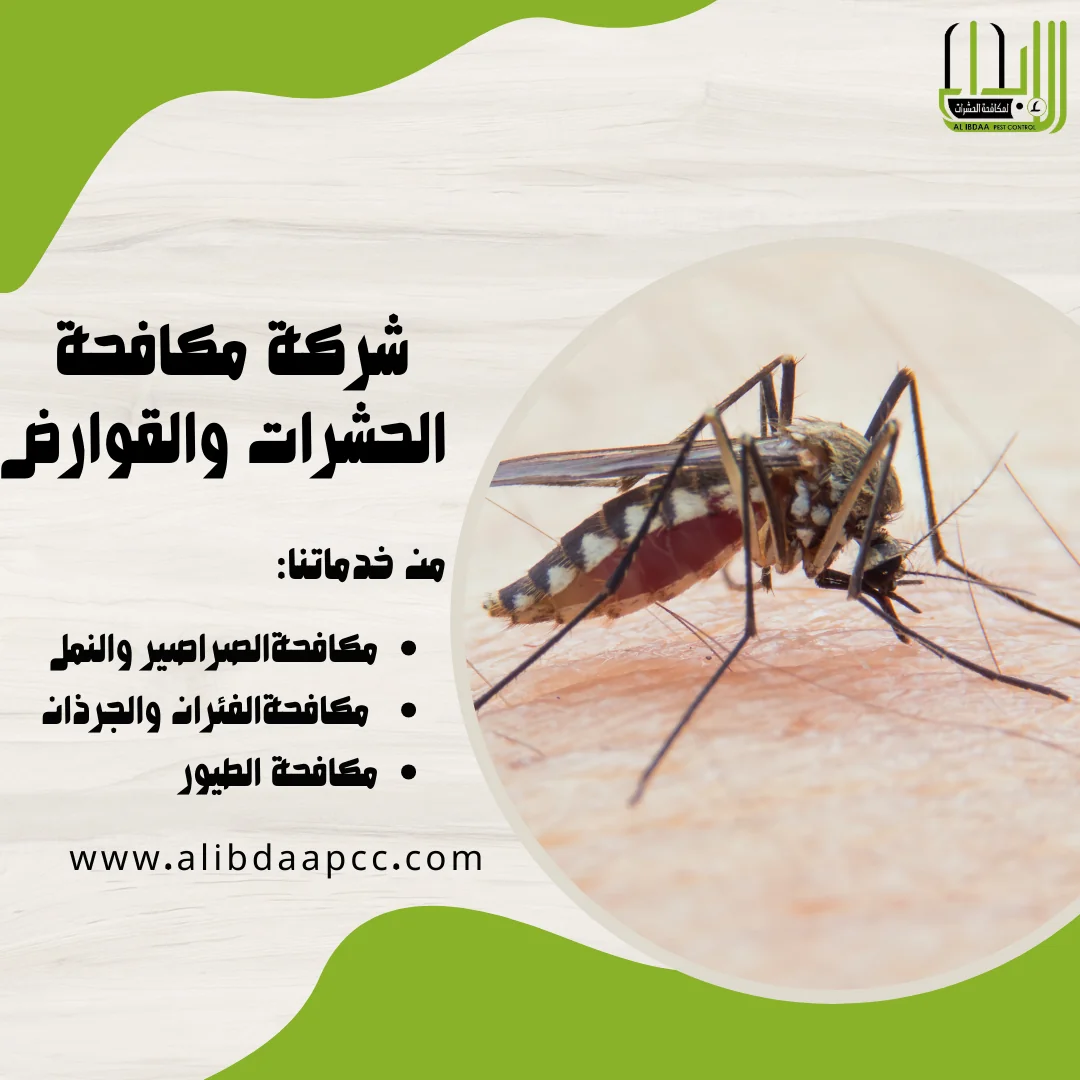 اسباب انتشار البعوض وطرق مكافحته