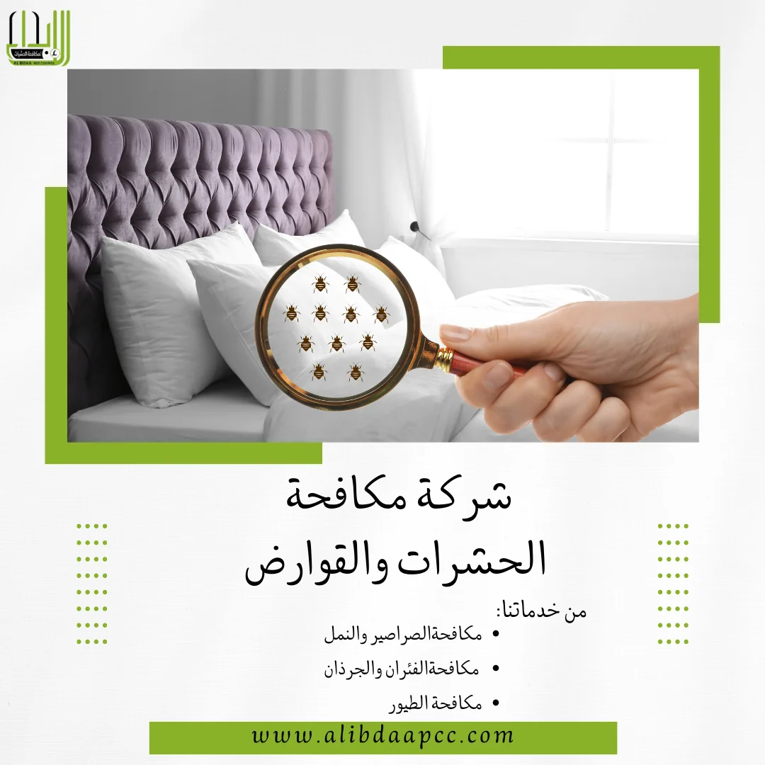 بق الفراش مضاره واسباب ظهوره و طرق مكافحته ودور شركات مكافحة الحشرات