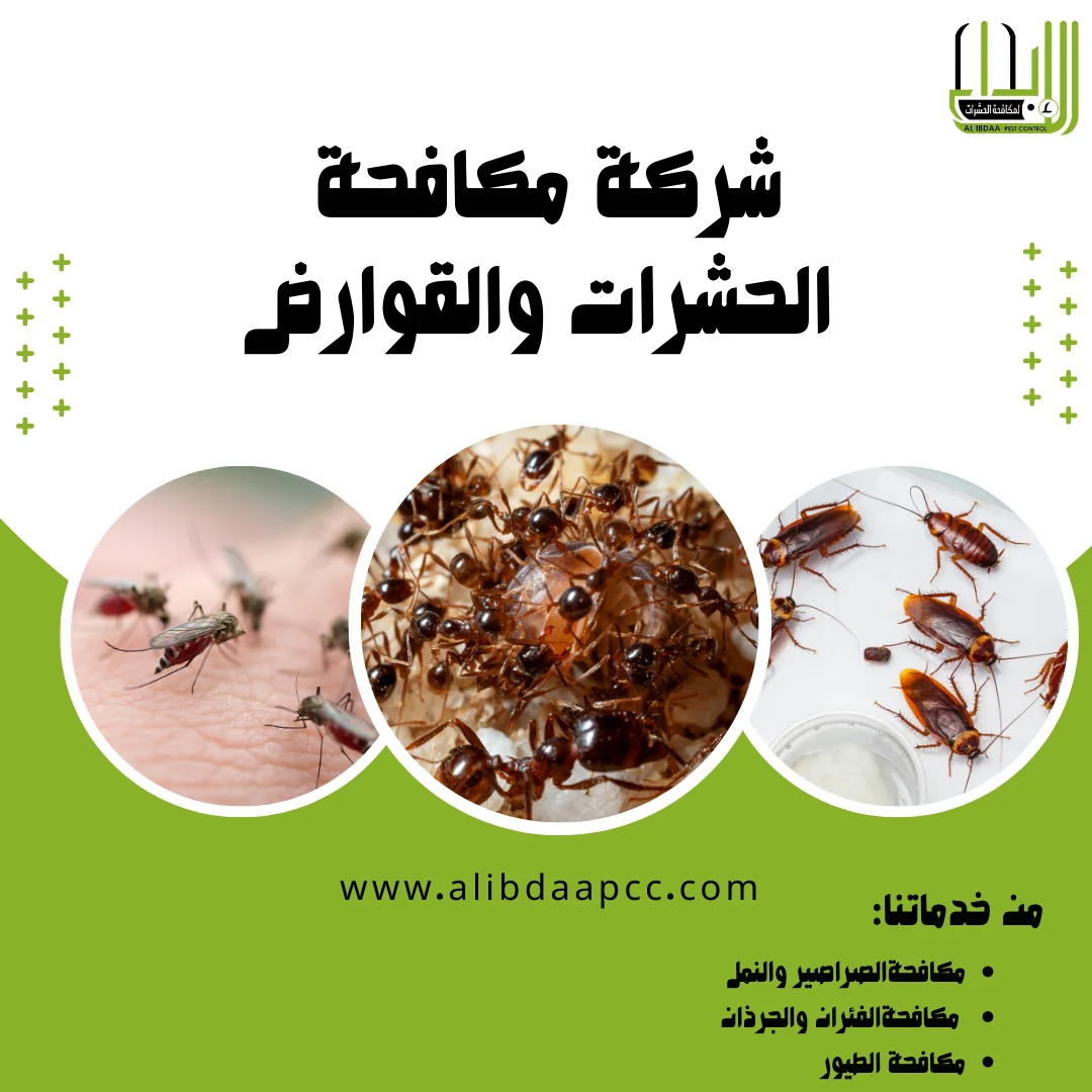 مكافحة الحشرات الطائرة في دولة الإمارات: تحديات وحلول