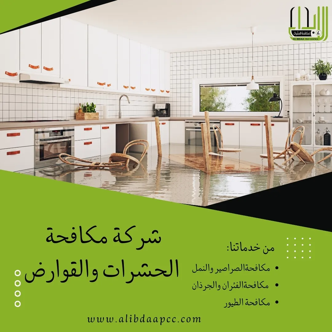 مكافحة الحشرات بعد السيول والفيضانات: التحديات والحلول