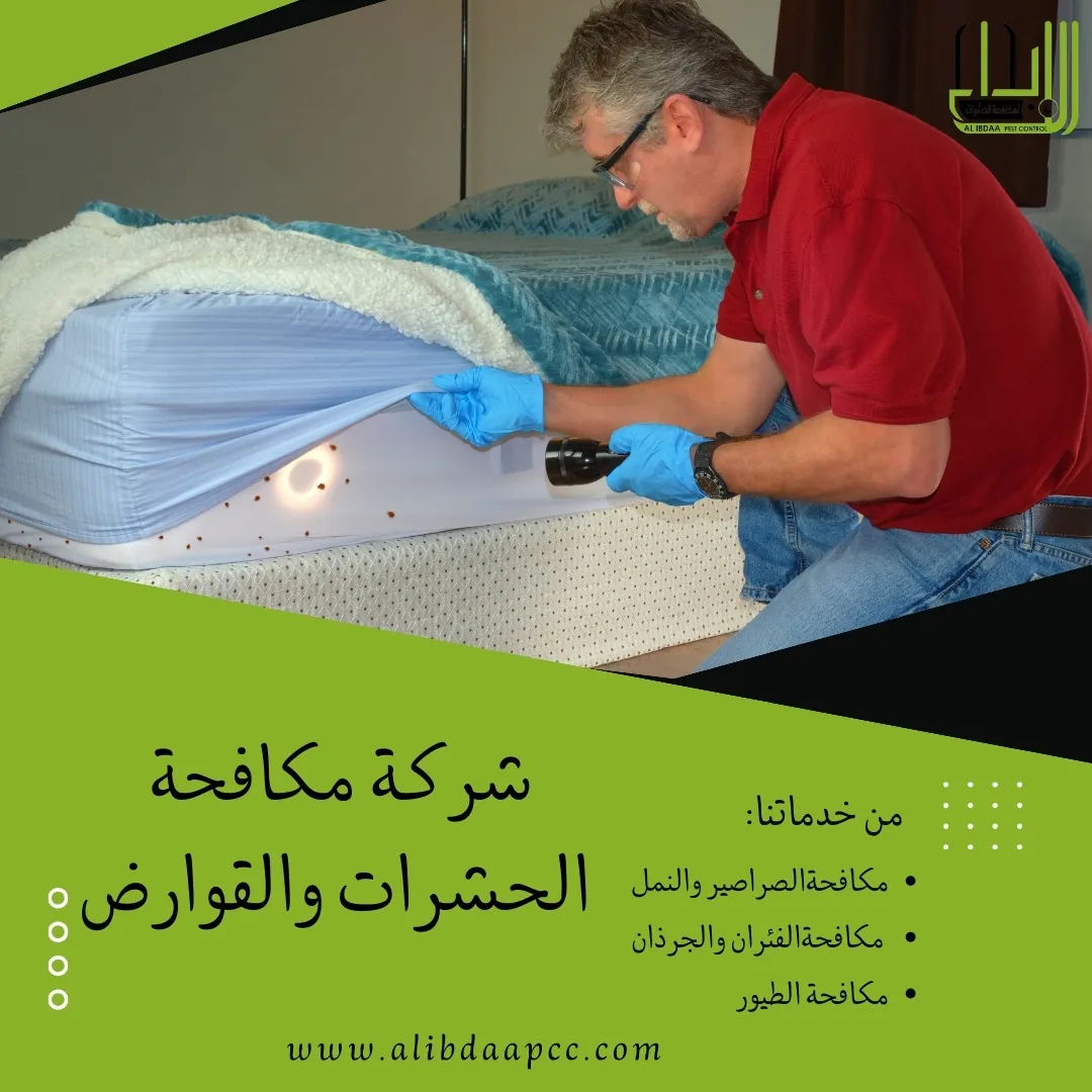 بق الفراش: أسباب ظهوره وضرورة مكافحته