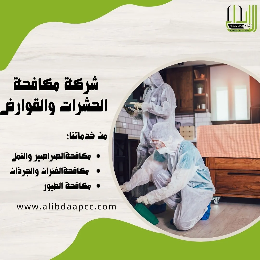 دور شركات مكافحة الحشرات في الوقاية والقضاء على الحشرات المنزلية