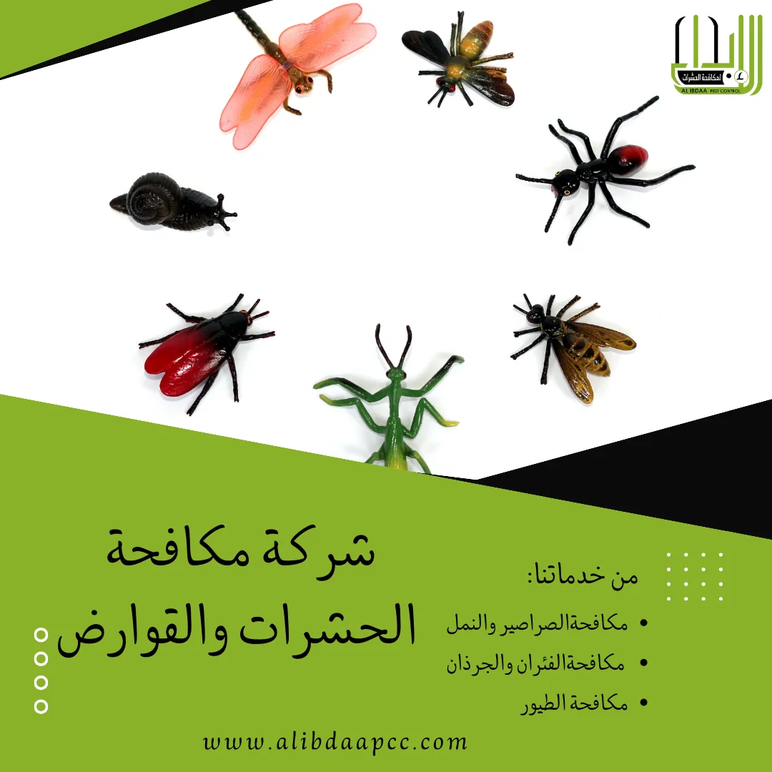 أساليب الحماية من الحشرات والقضاء عليها وأساليب شركات مكافحة الحشرات في ذلك