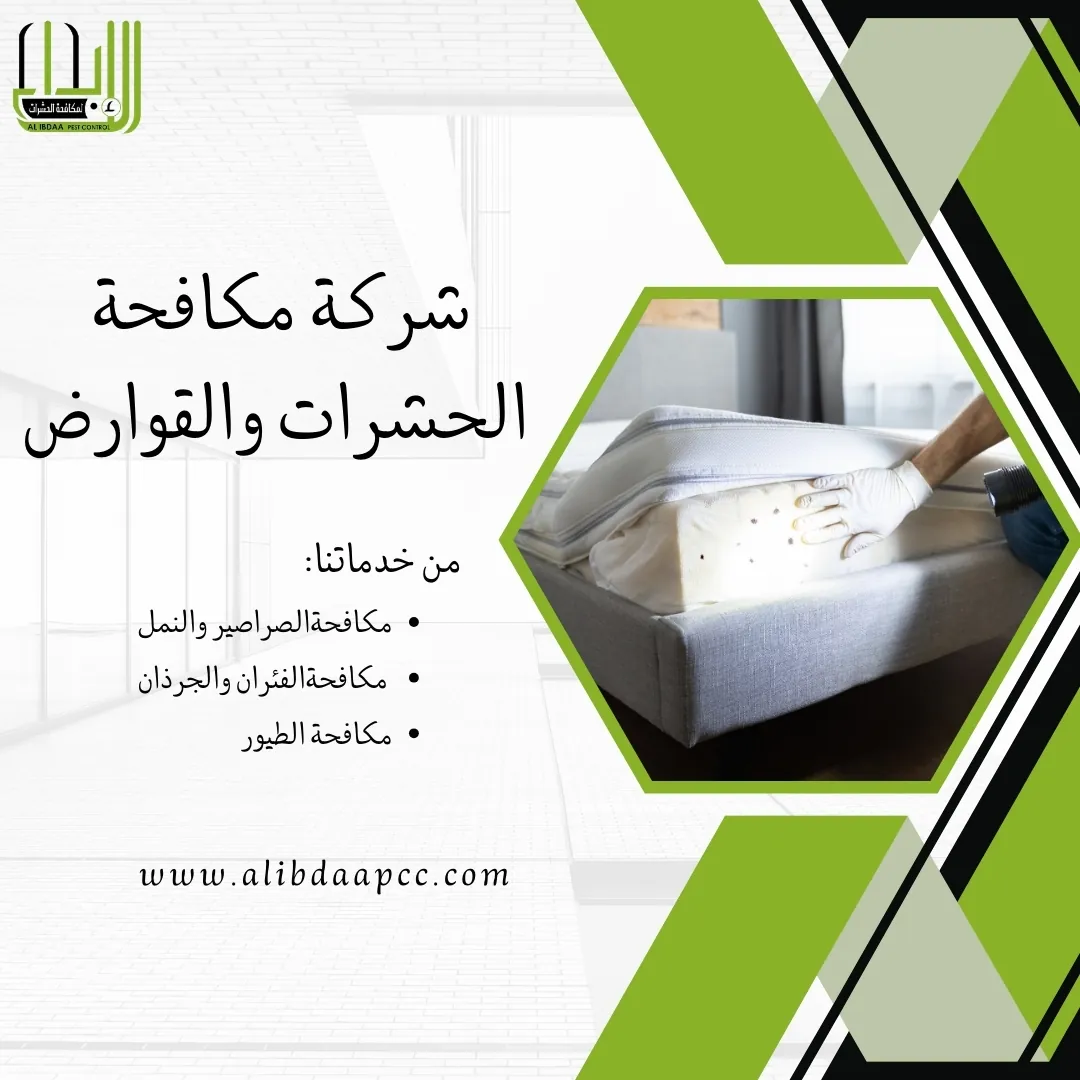 كيف تختار أفضل شركة لمكافحة الحشرات؟