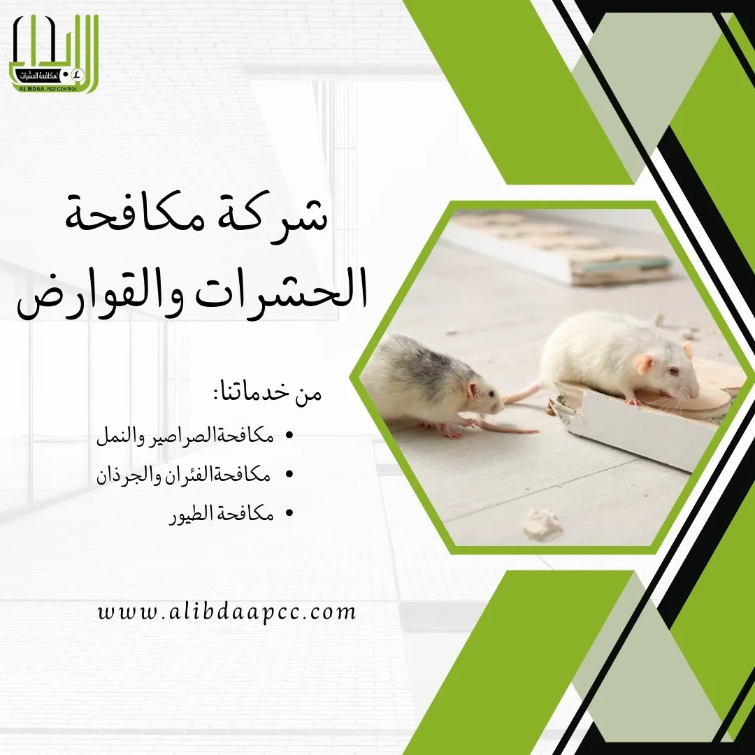 أهم النصائح للحفاظ على منزلك خالٍ من الحشرات