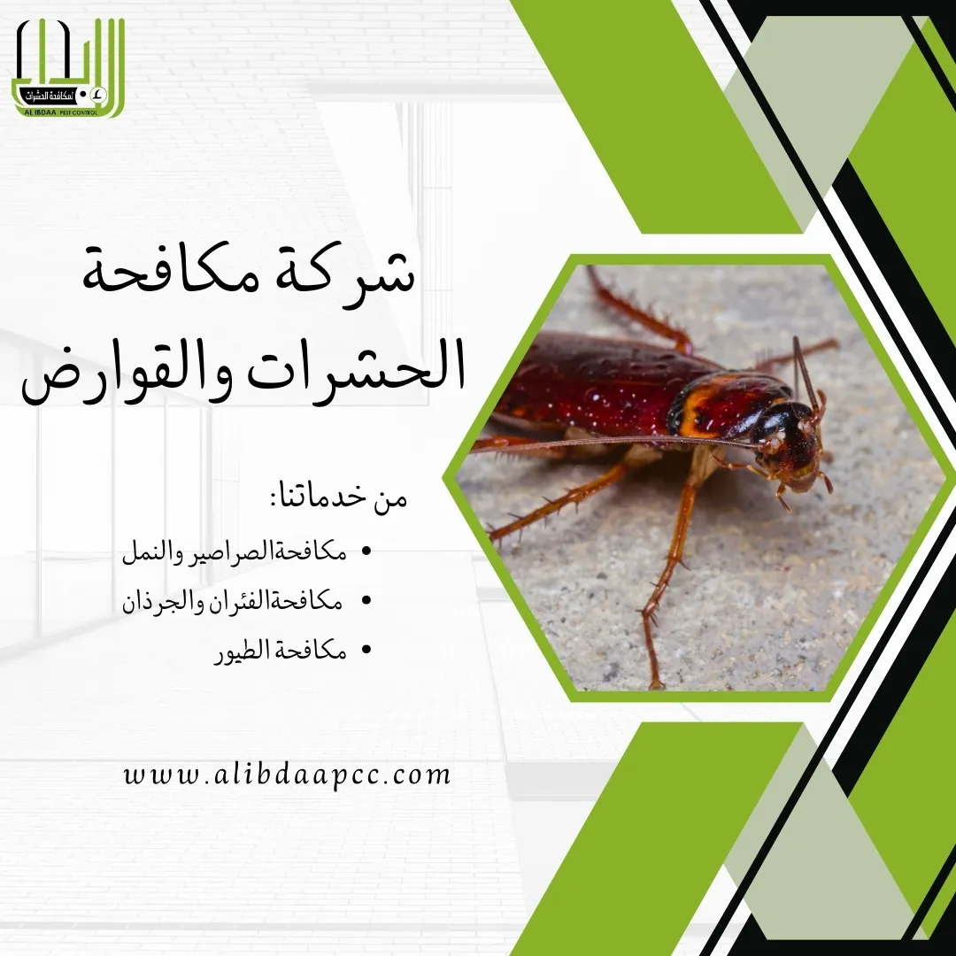 القضاء على الصراصير ومكافحة الحشرات في أبوظبي
