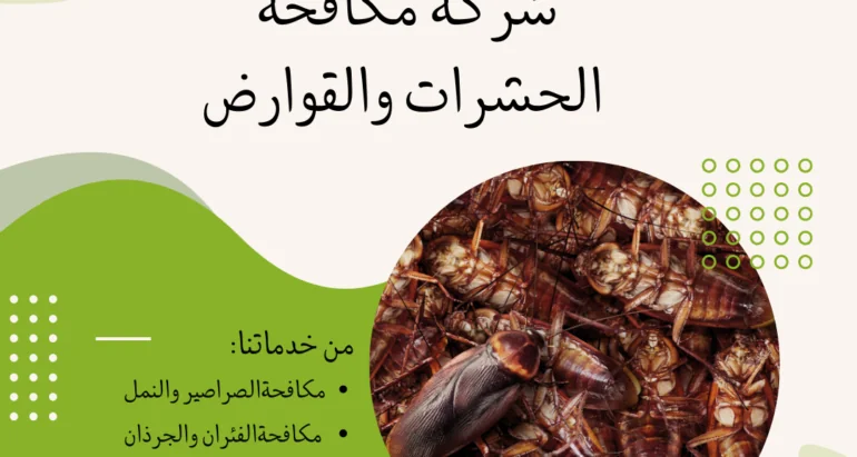 أفضل طرق لمكافحة الصراصير في المنازل