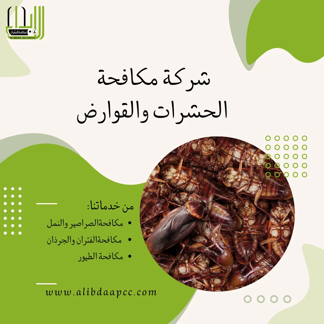 أفضل طرق لمكافحة الصراصير في المنازل