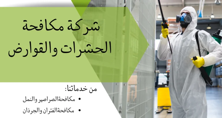 خدمات مكافحة الحشرات في الإمارات: القضاء على النمل والصراصير والفئران