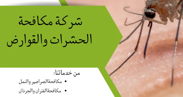 أفضل طرق الوقاية من البعوض ومكافحته ودور شركات مكافحة الحشرات في القضاء عليه