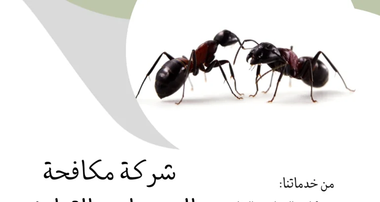 أساليب مكافحة النمل وأفضل الطرق للحماية منه