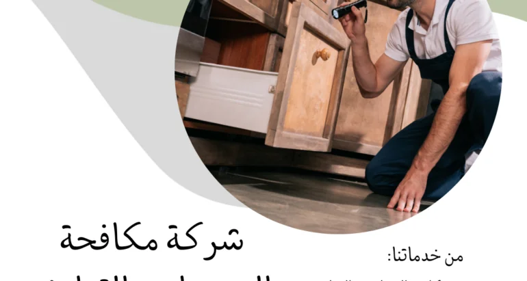 تأثير الحشرات على الصحة العامة وكيفية الوقاية منها