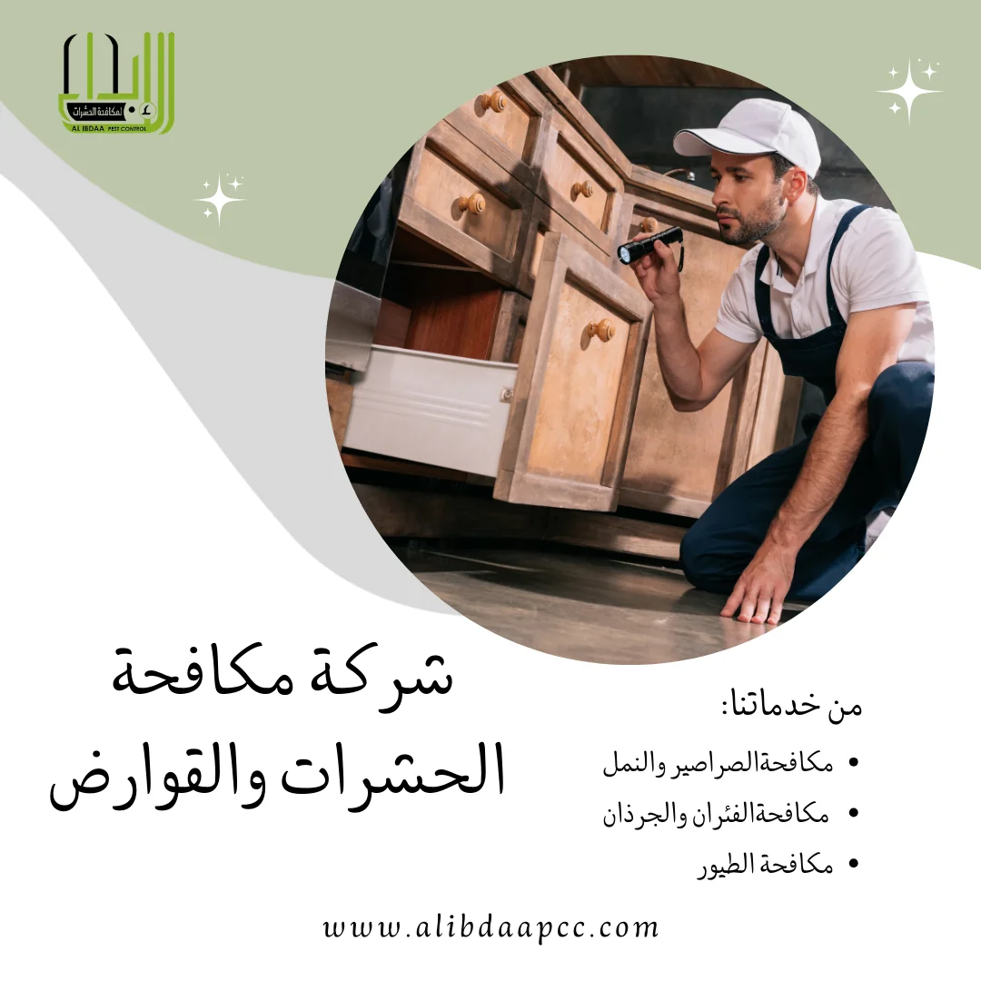 تأثير الحشرات على الصحة العامة وكيفية الوقاية منها