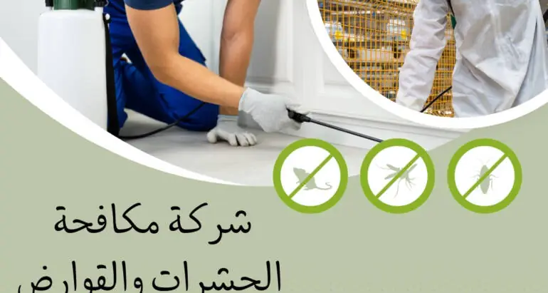 اختيار أفضل شركة مكافحة حشرات في المنطقة: دليل شامل