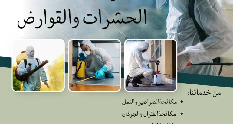 أساليب وطرق شركات مكافحة الحشرات في القضاء على النمل الأبيض (الرمة)