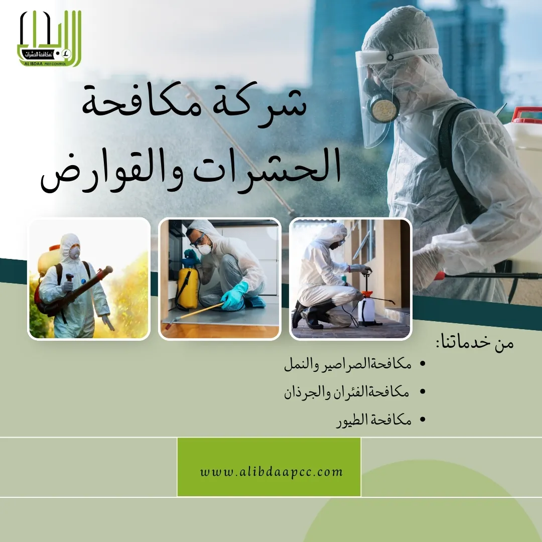 أساليب وطرق شركات مكافحة الحشرات في القضاء على النمل الأبيض (الرمة)
