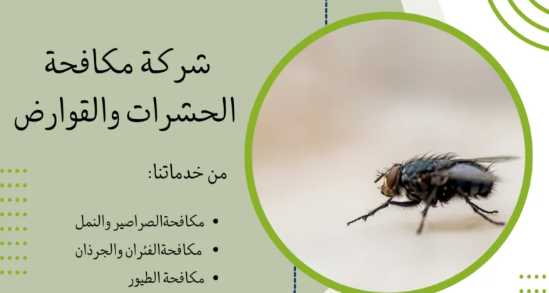 أساليب وطرق مكافحة الذباب ودور شركات مكافحة الحشرات في القضاء والحماية