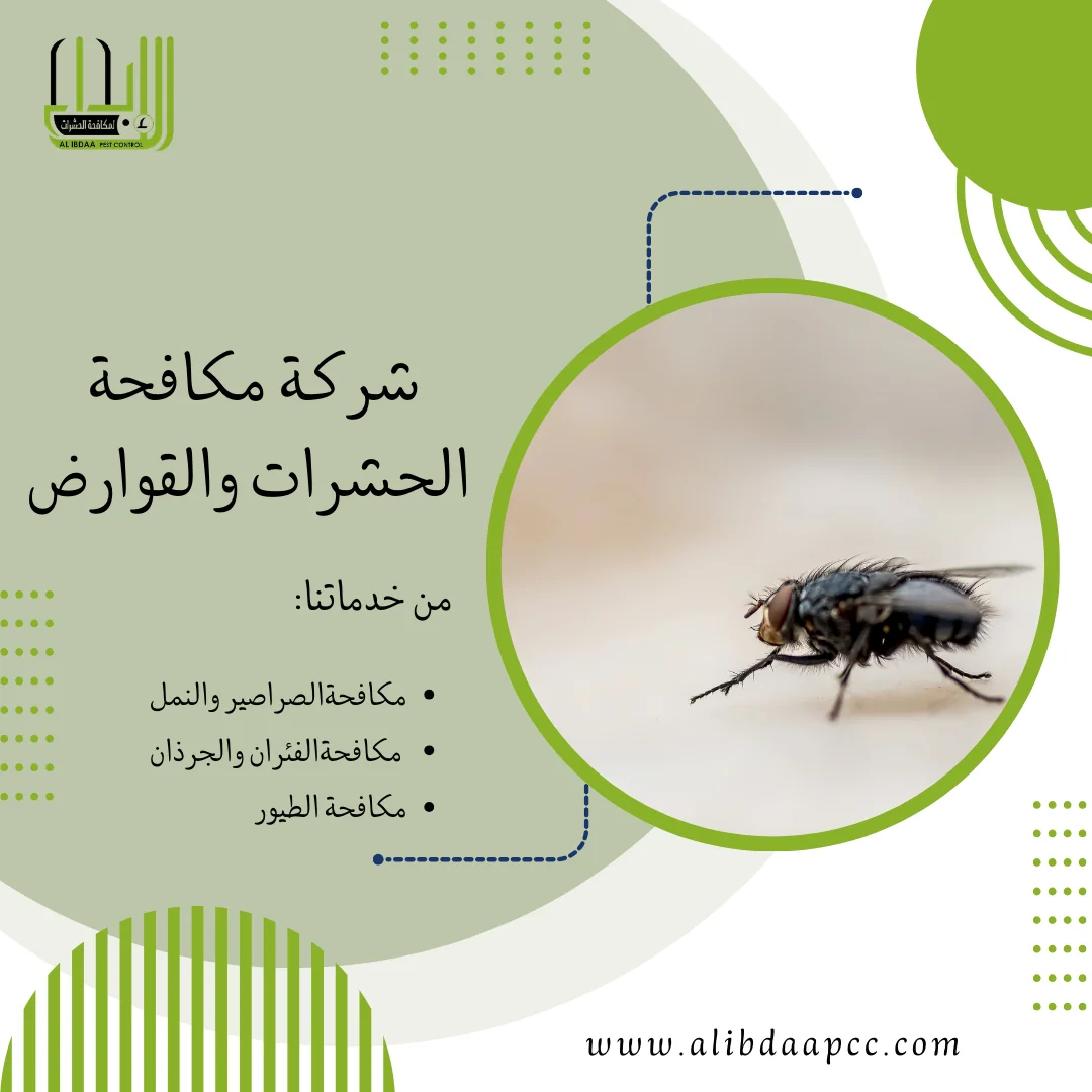 أساليب وطرق مكافحة الذباب ودور شركات مكافحة الحشرات في القضاء والحماية
