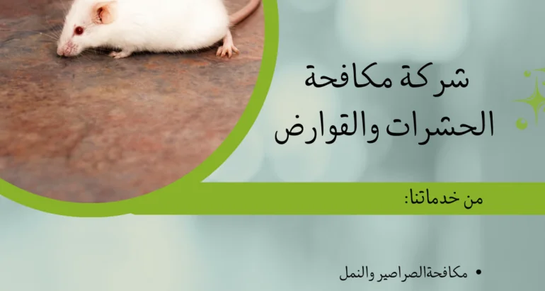 مكافحة الفئران في البيئة الصحراوية بالإمارات: دور شركات مكافحة الحشرات
