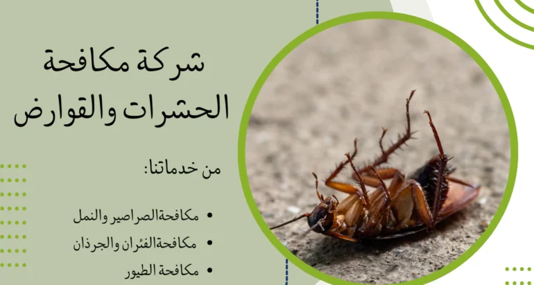 طرق مكافحة الصراصير والقضاء عليها والحماية منها