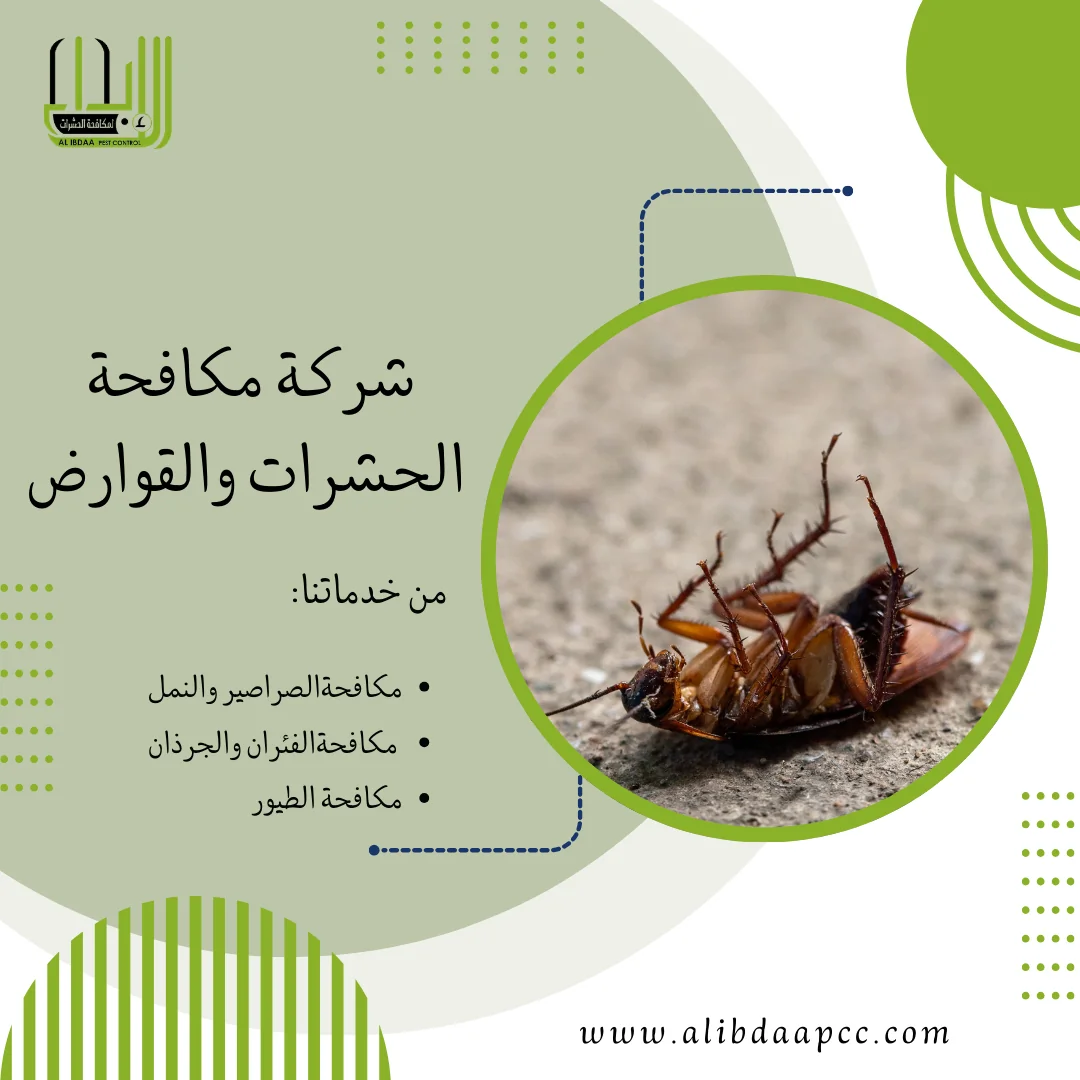 طرق مكافحة الصراصير والقضاء عليها والحماية منها
