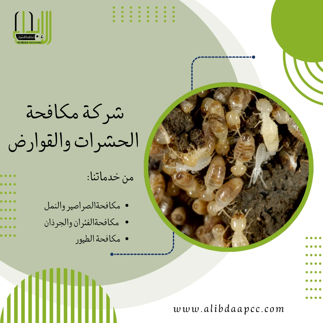 رش الرمة في عجمان