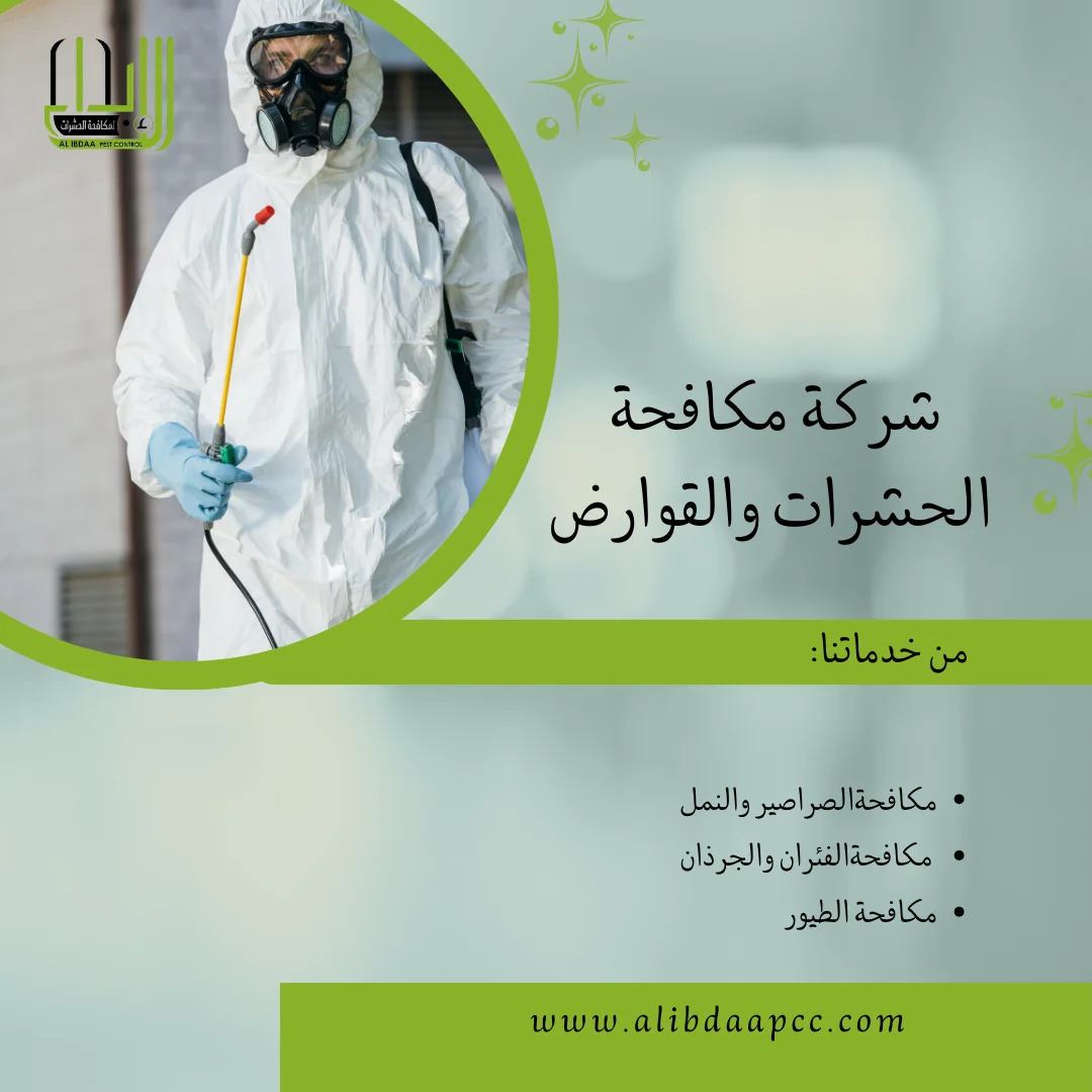 حماية منزلك من الحشرات: نصائح وأفضل حلول مكافحة الحشرات في الإمارات
