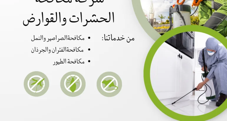 حماية منزلك من الحشرات: كيف تختار شركة مكافحة حشرات موثوقة في الإمارات؟