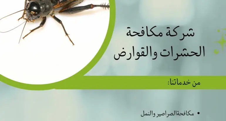 أكثر الحشرات انتشارًا في الإمارات وطرق الوقاية منها