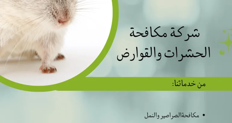 خدمات مكافحة الحشرات في الإمارات