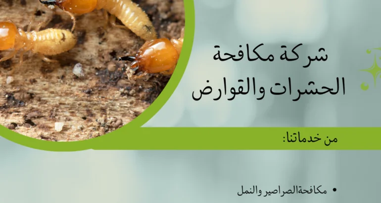 رش الرمة في أبوظبي