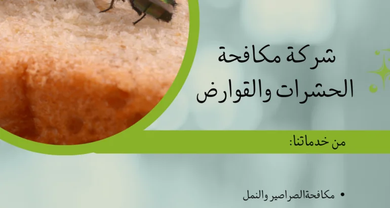 مكافحة الذباب في دولة الإمارات ودور شركات مكافحة الحشرات في القضاء عليها