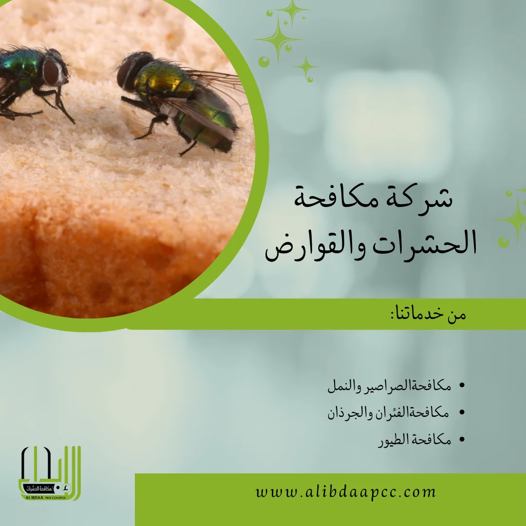 مكافحة الذباب في دولة الإمارات ودور شركات مكافحة الحشرات في القضاء عليها