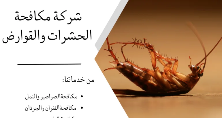 الصراصير: تهديد للصحة العامة وأساليب الوقاية والمكافحة