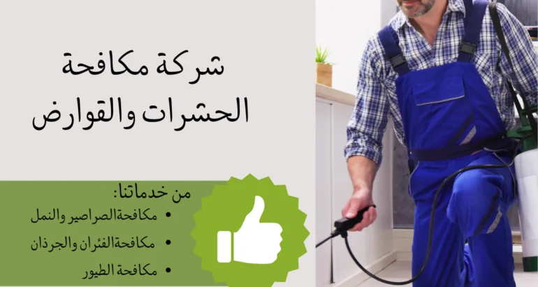 لماذا علينا الاتصال بشركة مكافحة حشرات عند رؤية الحشرات في المنزل؟