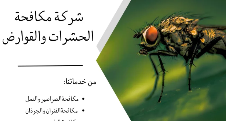 مكافحة الذباب والحماية منه: دليل شامل
