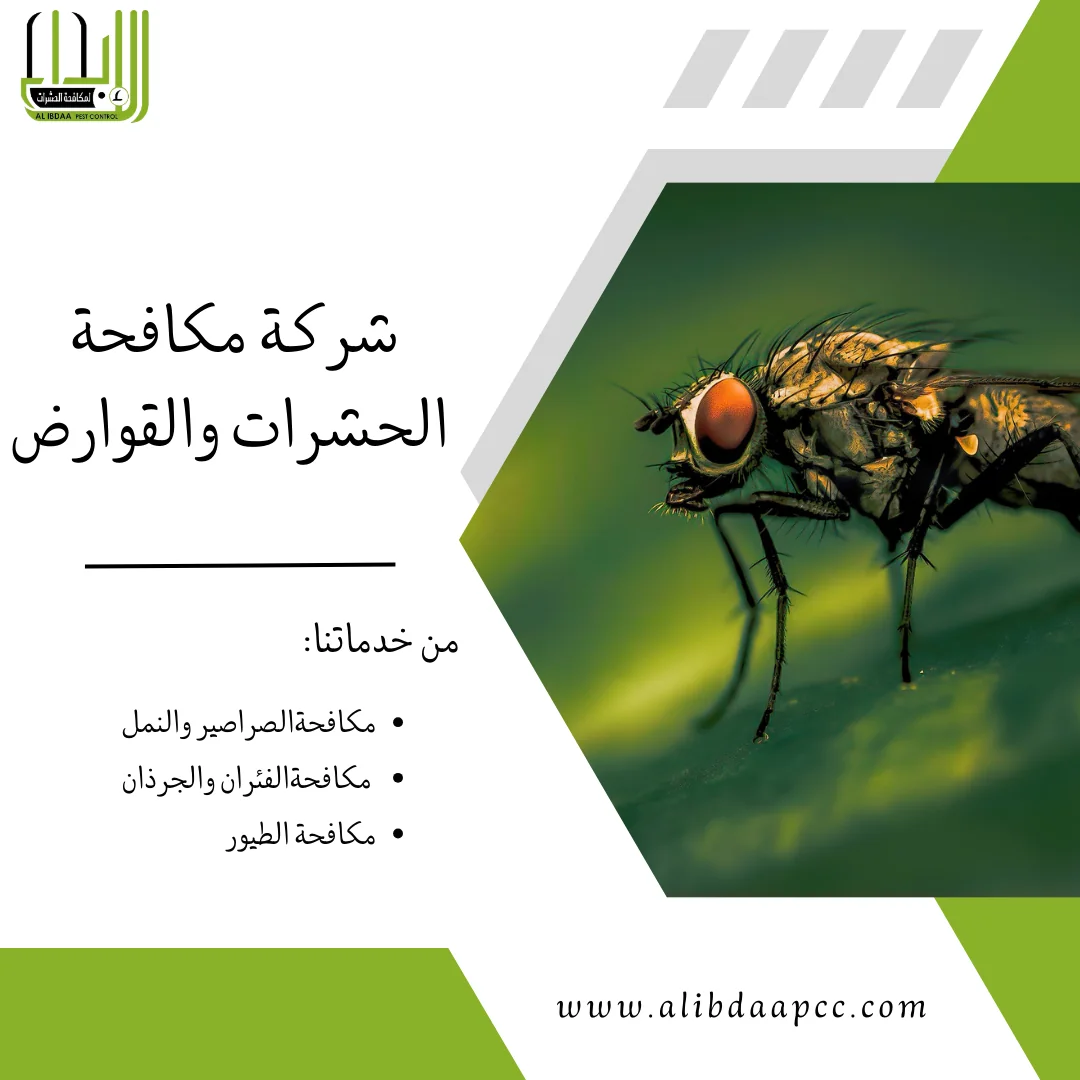 مكافحة الذباب والحماية منه: دليل شامل