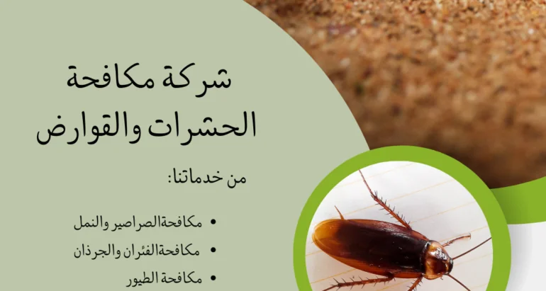 كيفية التخلص من الصراصير والنمل في الفلل والمنازل الكبيرة في الإمارات
