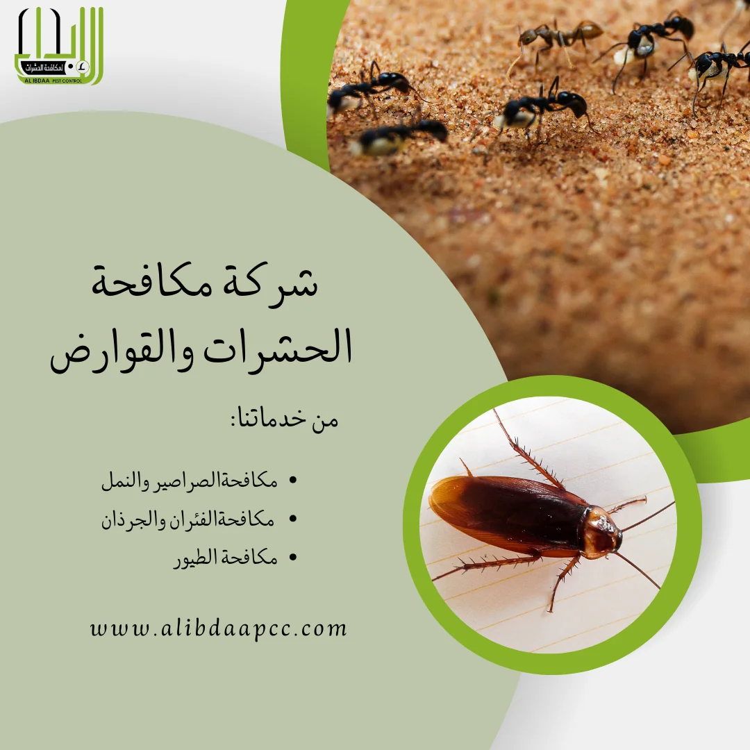 كيفية التخلص من الصراصير والنمل في الفلل والمنازل الكبيرة في الإمارات