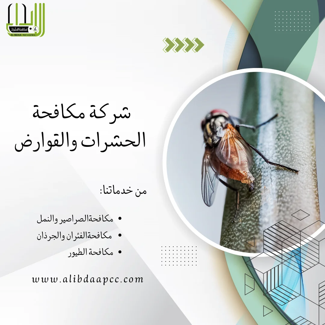 أفضل الطرق للحماية من الذباب والقضاء عليه ودور شركات مكافحة الحشرات في ذلك