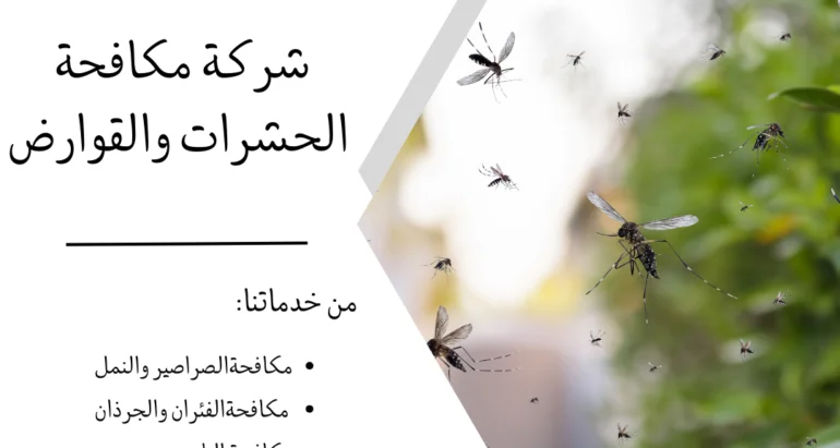 أفضل طرق مكافحة والحماية من الناموس ودور شركات مكافحة الحشرات في القضاء عليها