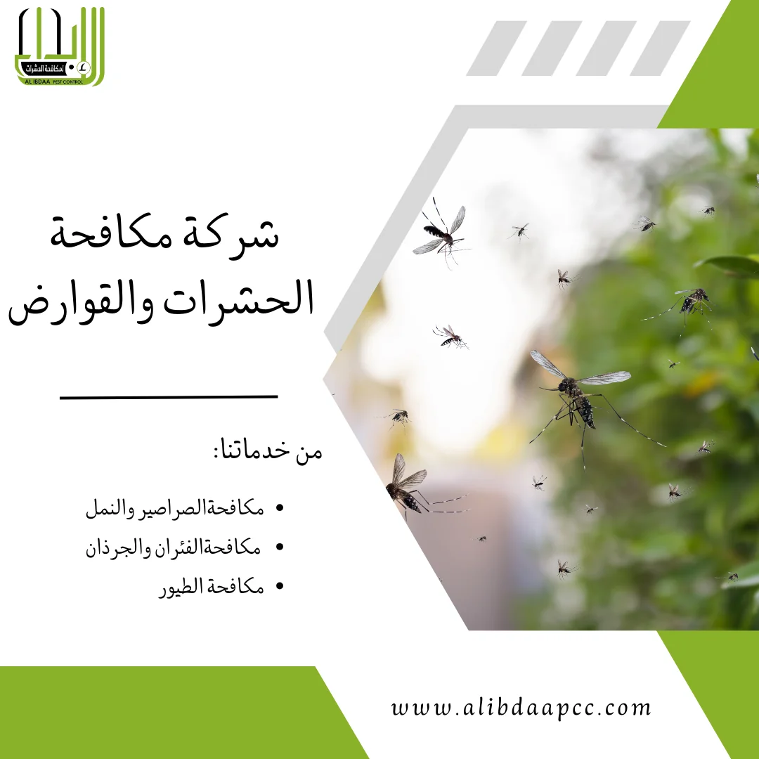 أفضل طرق مكافحة والحماية من الناموس ودور شركات مكافحة الحشرات في القضاء عليها