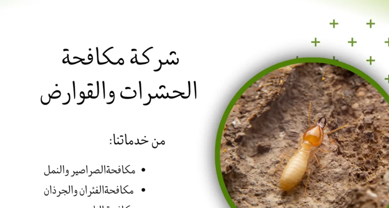 اساليب وطرق الحماية والقضاء على النمل الابيض (الرمة) ودور شركات مكافحة الحشرات في ذلك