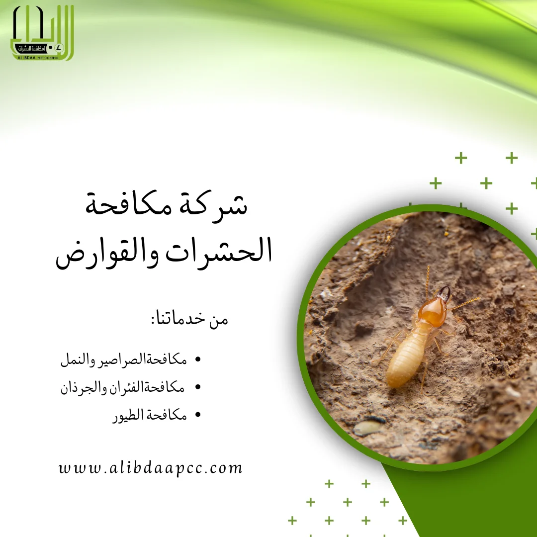 اساليب وطرق الحماية والقضاء على النمل الابيض (الرمة) ودور شركات مكافحة الحشرات في ذلك