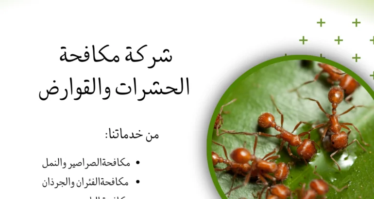 طريقة التخلص من النمل في المنازل ووجوب الاتصال بشركات مكافحة الحشرات