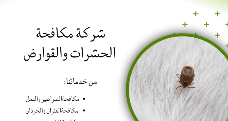 مكافحة البراغيث والحشرات الطائرة